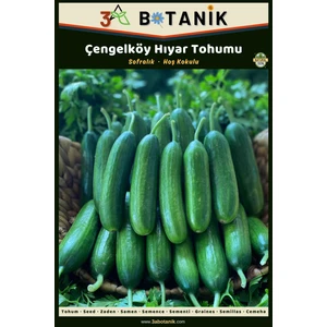 3A Botanik Çengelköy Hıyar (Salatalık) Tohumu, Yerli ve Sürdürülebilir Tohum, 5 Gram Hıyar Tohumu