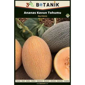 3A Botanik Ananas Kavun Tohumu, Yerli ve Sürdürülebilir Tohum, 5 Gram Kavun Tohumu