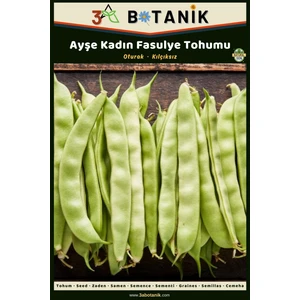 3A Botanik Ayşe Kadın Oturak Fasulye Tohumu, Yerli ve Sürdürülebilir, 10 Gram Fasulye Tohumu