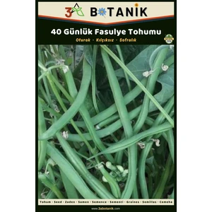 3A Botanik 40 Günlük Oturak Fasulye Tohumu, Yerli ve Sürdürülebilir Tohum, 10 Gram Fasulye Tohumu
