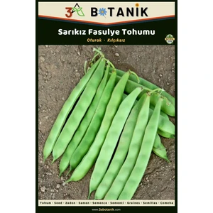 3A Botanik Sarıkız Oturak Fasulye Tohumu, Yerli ve Sürdürülebilir Tohum, 10 Gram Fasulye Tohumu