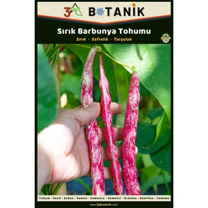 3A Botanik Sırık Barbunya Tohumu, Yerli ve Sürdürülebilir Tohum, 10 Gram Barbunya Tohumu