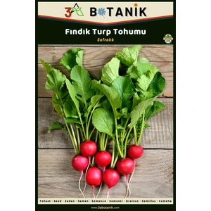 3A Botanik Fındık Turp Tohumu, Yerli ve Sürdürülebilir Tohum, 5 Gram Turp Tohumu
