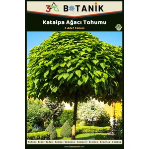 3A Botanik Katalpa Ağacı Tohumu, 5 Adet Tohum, Catalpa Bignonioides