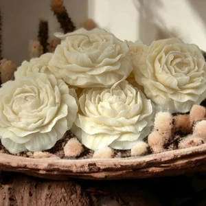 Miss Lina 2'li Şakayik Çiçeği Mum Kokulu Dekoratif Sevgililer Günü Hediye