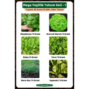 3A Botanik Mega Yeşillik Tohum Seti - 1, Toplam 30 GRAM/13.500 Adet Yeşillik Tohumu