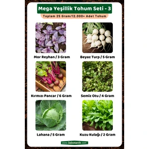3A Botanik Mega Yeşillik Tohum Seti - 3, Toplam 25 GRAM/12.000 Adet Yeşillik Tohumu
