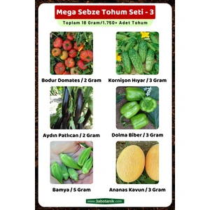 3A Botanik Mega Sebze Tohum Seti - 3, Toplam 18 GRAM/1.750 Adet Sebze Tohumu