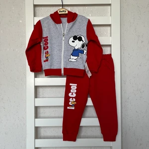 Sally Baby 2iplik Mevsimlik Kapüşonlu, Fermuarlı ,baskılı Alt Üst Takım, Eşofman Takım