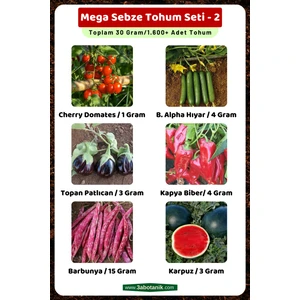 3A Botanik Mega Sebze Tohum Seti - 2, Toplam 30 GRAM/1.600 Adet Sebze Tohumu