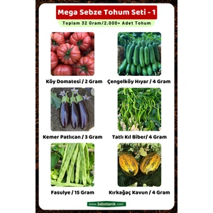 3A Botanik Mega Sebze Tohum Seti - 1, Toplam 32 GRAM/2.000 Adet Sebze Tohumu