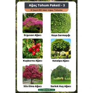3A Botanik Ağaç Tohum Paketi-3 (Erguvan, Kaya Sarmaşığı, Kuşburnu, Katalpa, Süs Elma, Sarkık Huş) Ağaç Tohumları