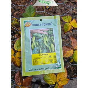 Doğa Fidancılık Balık Süs Biberi Tohumu