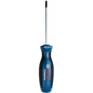 Profesyonel Torx Tornavida TX25X100