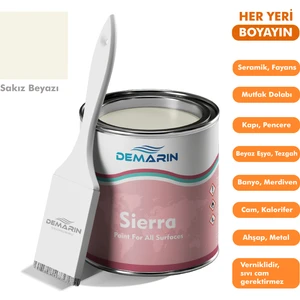 Her Şeyi Boyayan Boya Demarin Sierra Tek Bileşen Fayans, Tezgah, Seramik, Mobilya, Zemin Boyası