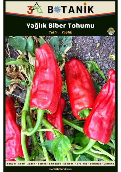 Yağlık Biber Tohumu, Yerli ve Sürdürülebilir Tohum, 5 Gram Biber Tohumu