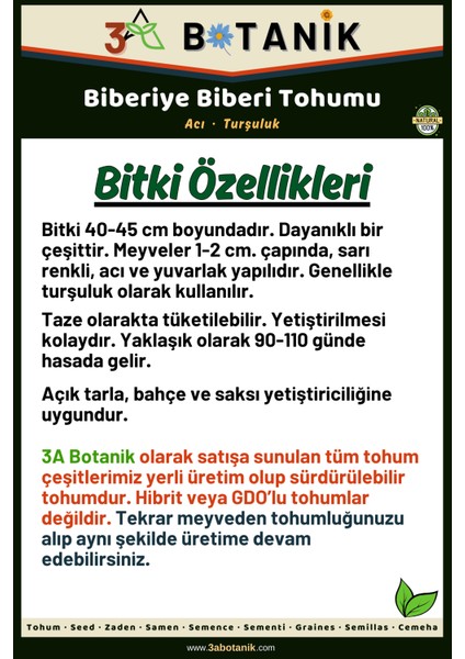 Biberiye Biber Tohumu, Yerli ve Sürdürülebilir Tohum, 5 Gram Biber Tohumu fiyatları