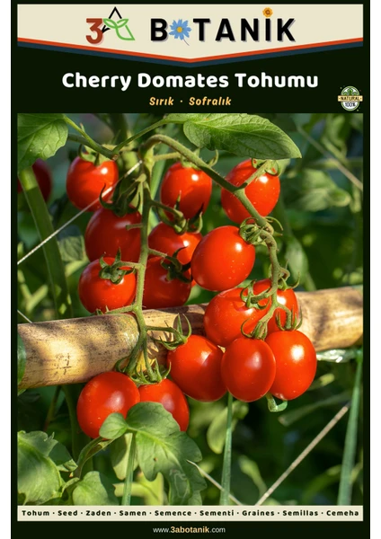 3A Botanik Cherry Domates Tohumu, Yerli ve Sürdürülebilir Tohum, 1 Gram Domates Tohumu