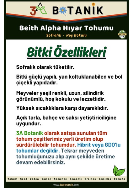 3A Botanik Beith Alpha Hıyar (Salatalık) Tohumu, Yerli ve Sürdürülebilir Tohum, 5 Gram Hıyar Tohumu