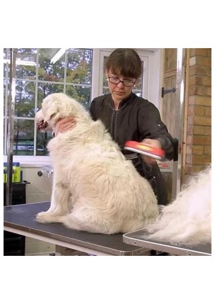 Petinka® 23 kg Üzeri Uzun Tüylü Köpekler Için Tüy Toplayıcı Ergonomik Tarak fiyatları