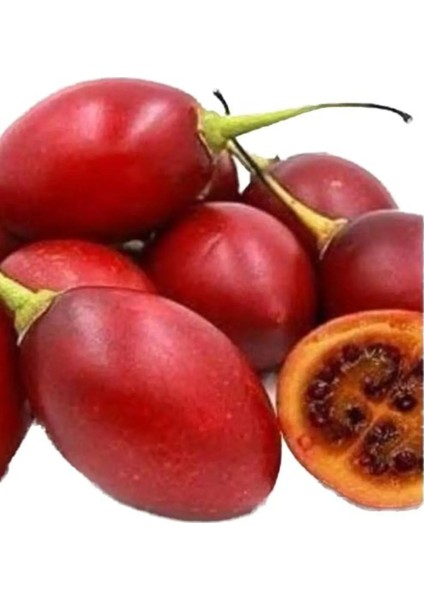 Tamarillo (Domates AĞACI)70-100 cm Tüplüdür