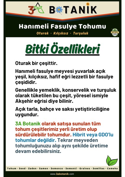 3A Botanik Hanımeli Oturak Fasulye Tohumu, Yerli ve Sürdürülebilir Tohum, 10 Gram Fasulye Tohumu