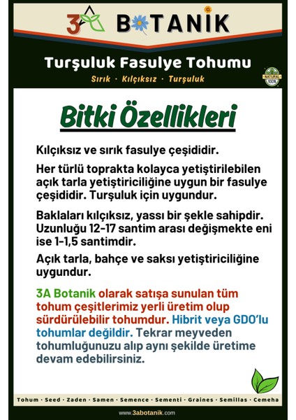 Turşuluk Sırık Fasulye Tohumu, Yerli ve Sürdürülebilir Tohum, 10 Gram Fasulye Tohumu