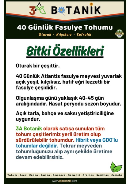 40 Günlük Oturak Fasulye Tohumu, Yerli ve Sürdürülebilir Tohum, 10 Gram Fasulye Tohumu