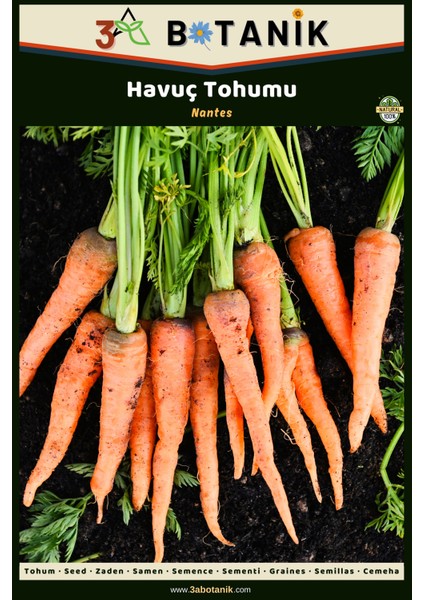 Havuç Tohumu, Yerli ve Sürdürülebilir Tohum, 5 Gram Havuç Tohumu