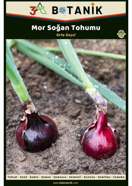 Mor Soğan Tohumu, Yerli ve Sürdürülebilir Tohum, 2 Gram Soğan Tohumu
