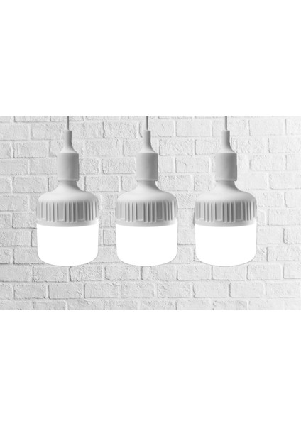 Tekno Trust CT-4279B 30W Taşınabilir Şarjlı LED Ampul(Beyaz)(4 Fonksiyon modelleri