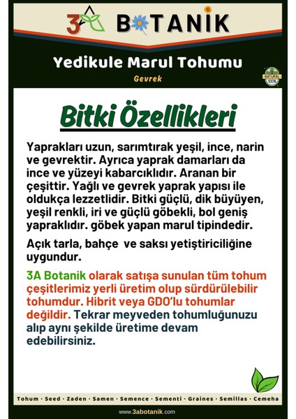 3A Botanik Yedikule Marul Tohumu, Yerli ve Sürdürülebilir Tohum, 5 Gram Marul Tohumu