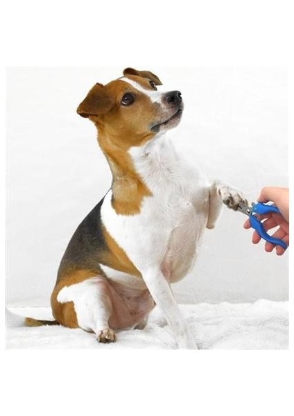 Petinka Evcil Hayvan Kedi ve Köpek Çelik Yaylı Tırnak Makası ve Düzeltme fırsatları