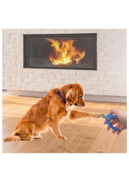 Petinka Evcil Hayvan Kedi ve Köpek Çelik Yaylı Tırnak Makası ve Düzeltme indirimleri