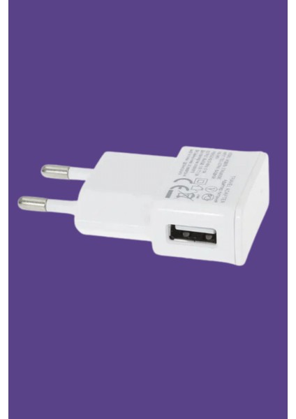 Stylus Kalem 5V 1A Seyahat Duvar USB Şarj Adaptörü
