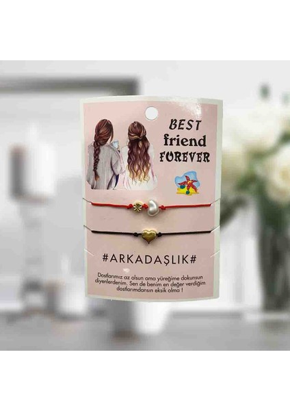 Arkadaşa Hediye Doğum Günü Özel Gün Hediyesi modelleri