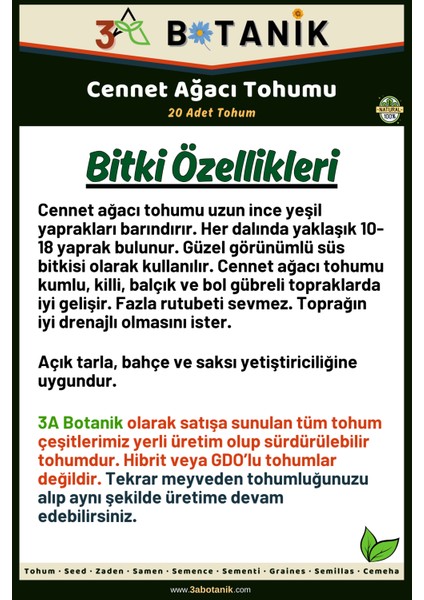 3A Botanik Cennet Ağacı Tohumu, 20 Adet Tohum