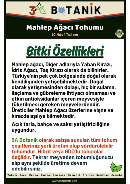 Mahlep Ağacı Tohumu, 5 Adet Tohum, Prunus Mahaleb