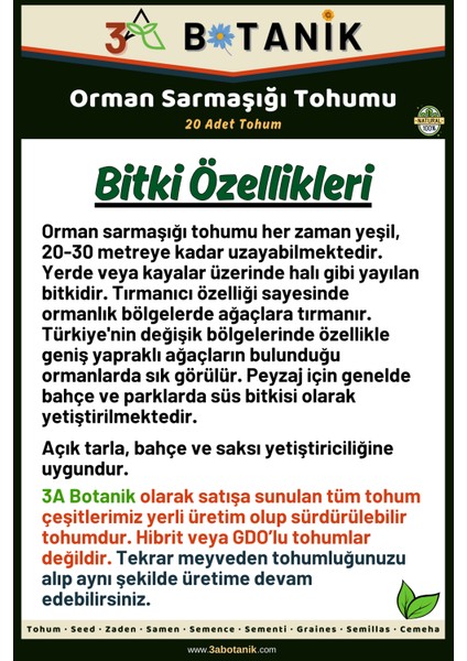 Orman Sarmaşığı Tohumu, 20 Adet Tohum