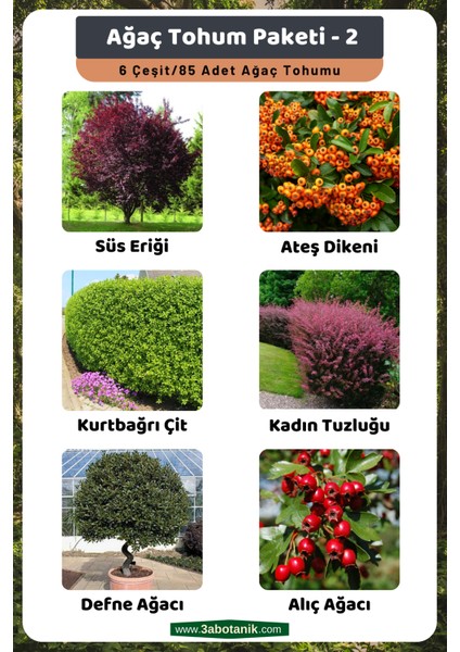Ağaç Tohum Paketi-2, (Süs Eriği, Ateş Dikeni, Kurtbağrı, Kadın Tuzluğu, Defne, Alıç) Ağaç Tohumları