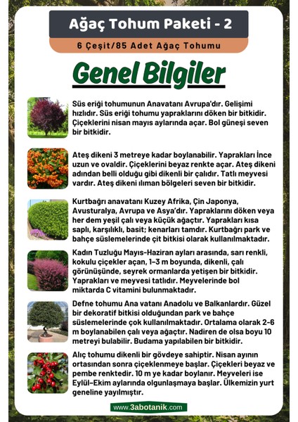 Ağaç Tohum Paketi-2, (Süs Eriği, Ateş Dikeni, Kurtbağrı, Kadın Tuzluğu, Defne, Alıç) Ağaç Tohumları modelleri