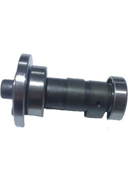 Str 250 Eksantrik Mili Komple