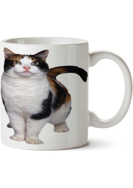 Cat-Png-7 Iki Tarafı Baskılı Kupa Bardak