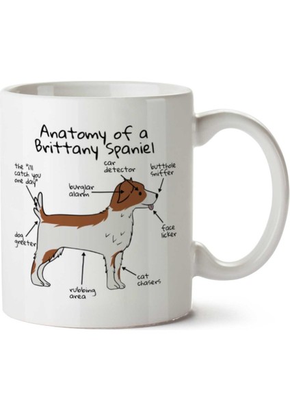 Ingiliz Özel Köpeği Anatomisi Iki Tarafı Baskılı Kupa Bardak