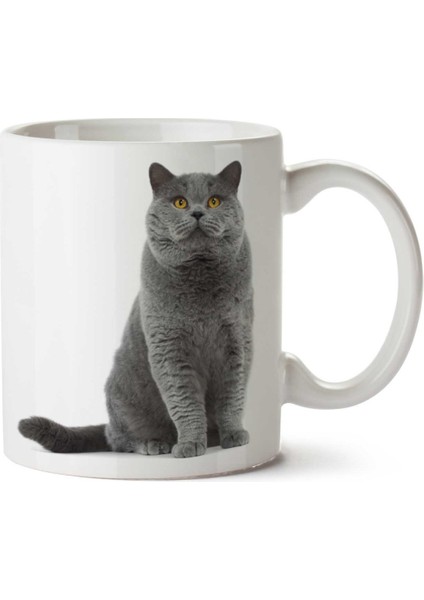British Shorthair Kedi Iki Tarafı Baskılı Kupa Bardak