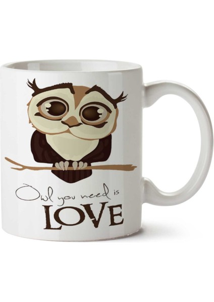 Owl You Need Is Love Iki Tarafı Baskılı Kupa Bardak