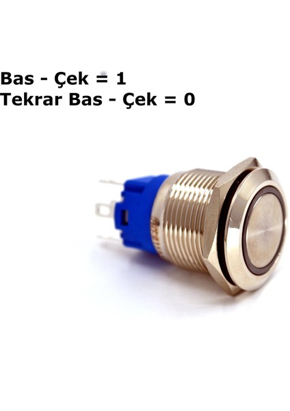 19MM Kalıcı Metal Anahtar Mavi Işıklı 1no/1nc 12V 24V 1-0