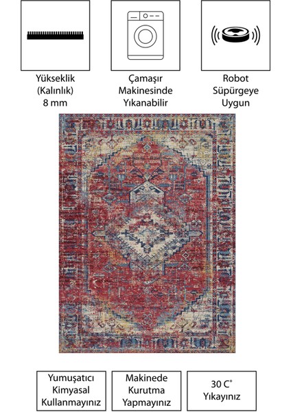 Modern Dijital Baskı Dört Mevsim Yıkanabilir Kaymaz Taban Salon Halısı Mutfak Halısı Yolluk
