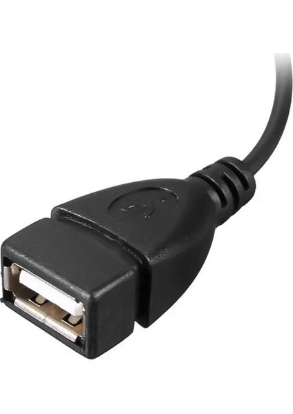 Powermaster USB Dişi Micro USB Erkek-Dişi Y Otg Kablo 20 cm Micro Girişi USB Ye Çevirici Dönüştürücü