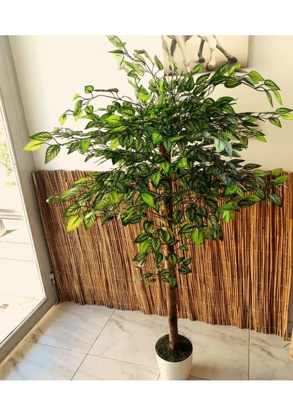 Yapay Ficus Benjamia 1.50 mt Boy Islak Doku 1.sınıf Yaprak Benjamin Ağacı